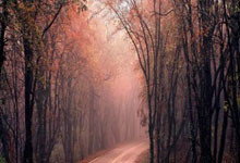 全运后山东女排大调整：杜清清退役，李晨瑄等上位，车文涵或外借.