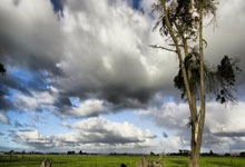 南苏丹总统更换两名副总统，调整内阁.