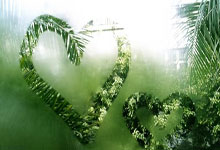 德甲：奥格斯堡平霍芬海姆 法兰克福险胜斯图加特.